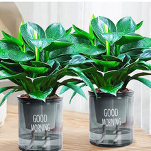 ԾG}jֲ҃ȻˮGֲBlؔȥȩ