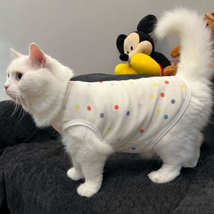 ��ɫ���c����؈���·��ļ�͸�ⱡ���ʽ����ë���x����W�ۼ���