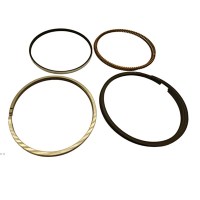 02950 2304002950, Piston, piston ring, piston pin