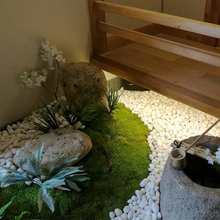 ̦�\�쾰diy����ֲ̦����ʽ����ͥԺ�辰��ɽˮ����쾰�bGֲ