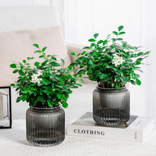 ��܎��������ˮ͸���������Ϙ�֬�Ӻ��ڏ�����С�Gֲ�����҃Ȕ[