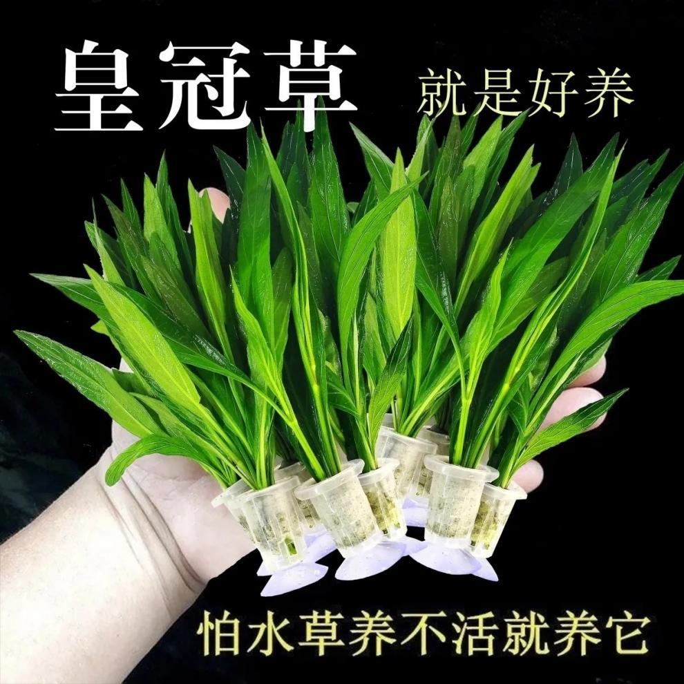 998d982a-7bef-46ca-af30-e7be06f70567.jpe