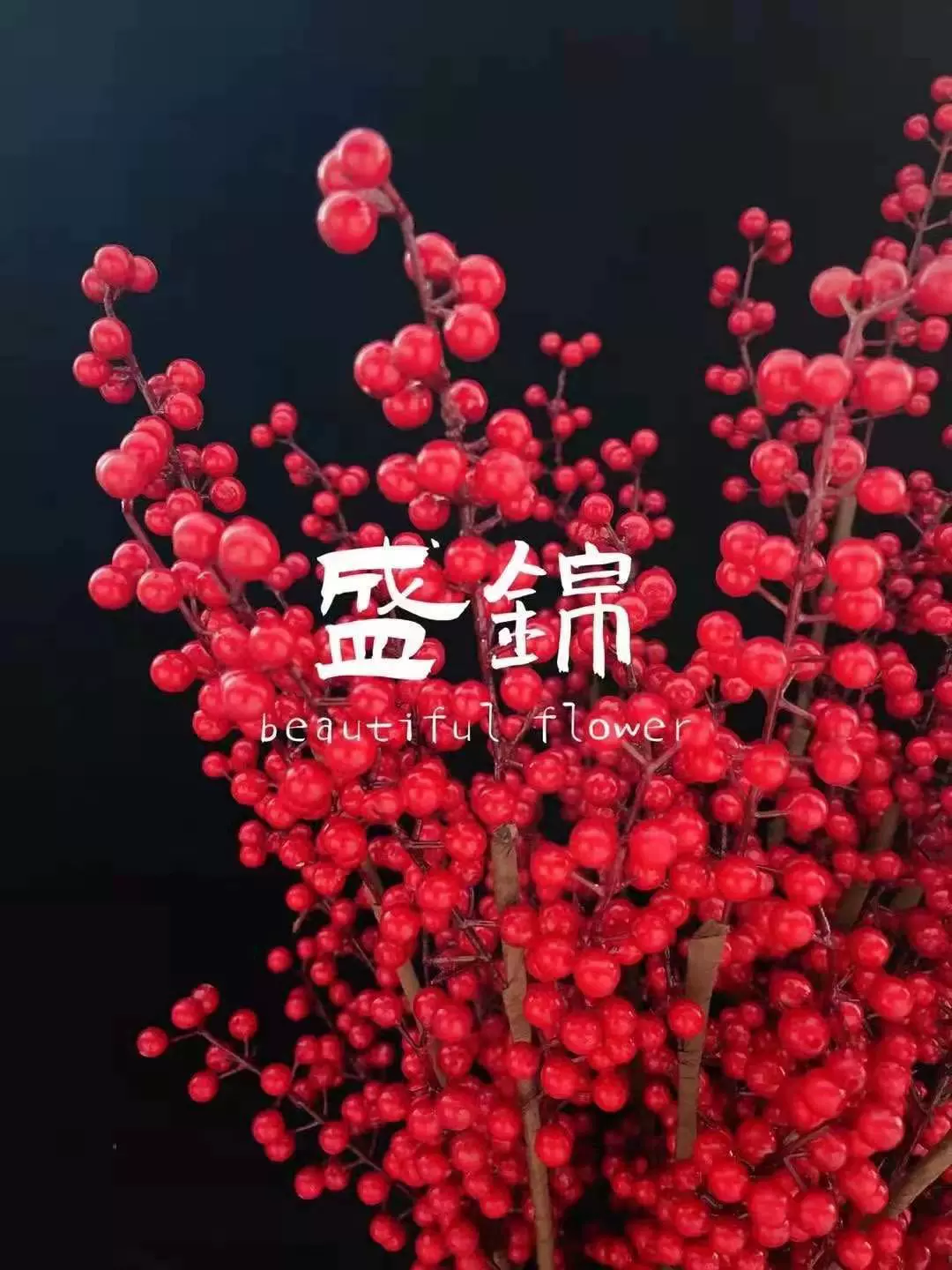 C0386新年红果6叉小红果