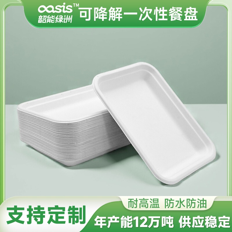 Shaoneng Oasis Disposable Biodegradable Environmentally Friendly Product Bl01 Tray Sugarcane Fiber Portable Health