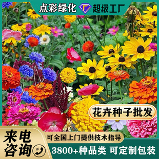 ���lҰ���M�ϷN���ļ��_����˹���߲ʸ�ɣ���������^ͥԺ���^����