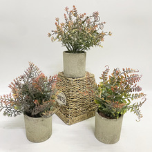 �����ֲ�（�{��������ֲ���＾�҃��b��k���ҕ������g�bGֲ