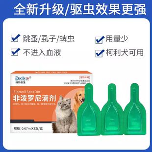 �󌙐۸���������؈���w������xș��؈��Ȯ��������ǝ��_��΄�