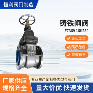 铸铁闸阀F7369-16K250防护闸阀硬密封铜芯闸阀赣玛体英标闸阀