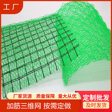 �ӽ����Sֲ���W�S�Ұl؛ NSS���S�����W ���S�W�ͺϲ��w�������