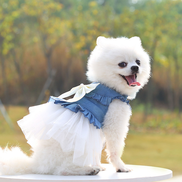 Princess Denim Bow Knot Pet Clothing display picture 3