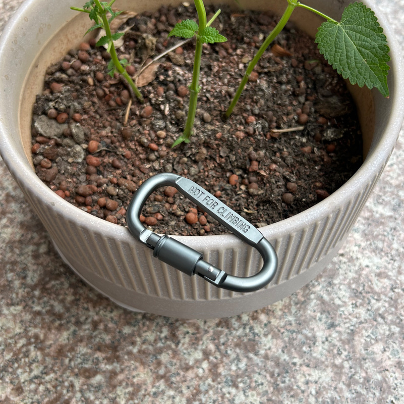 O1CN01qNi3bO1orNOhQwdaR_!!2216