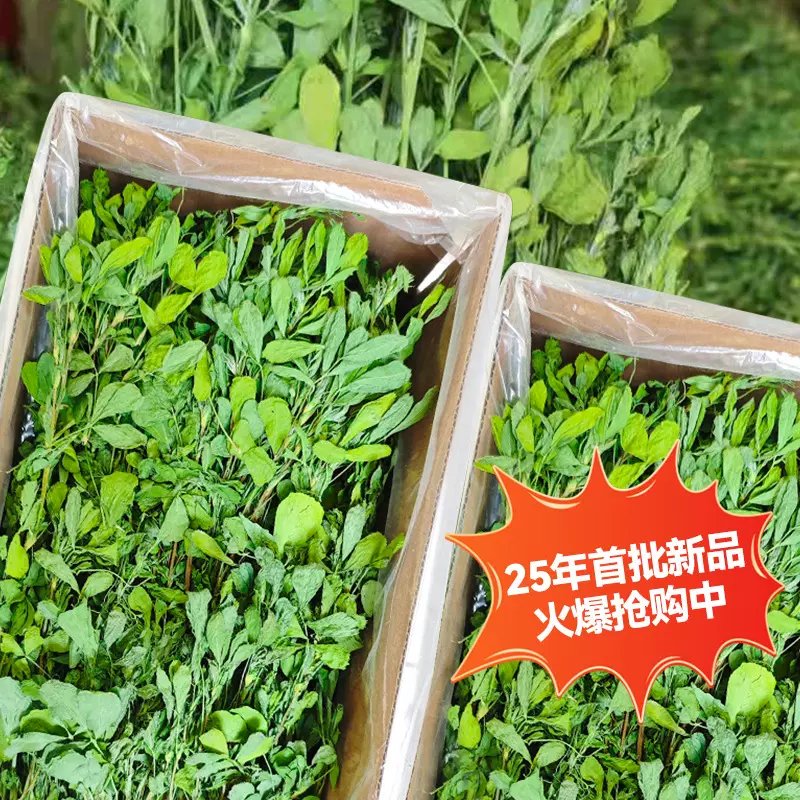 一件代发烘干紫花苜蓿草兔草兔粮牧草龙猫豚鼠荷兰猪兔子专用批发