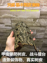 甲虫攀爬木大号宠物饲养箱造景攀爬爬虫躲避昆虫战斗擂台防猝死