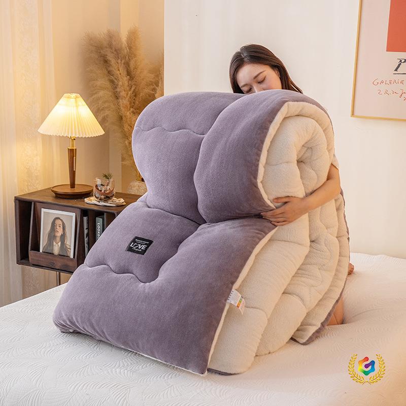 ✅家用双面羊羔绒被子冬被加厚保暖羽丝绒被芯牛奶绒冬棉被批