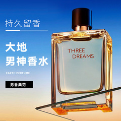 人気商品 TERRE メンズ香水 100ml 長持ちする香り ウッディ系フレグランス コロン スプレータイプ