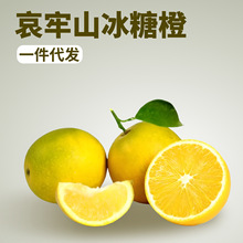 冰糖橙云南产时令新鲜冰糖橙整箱装大果3/5/9斤装代发一件脐橙子