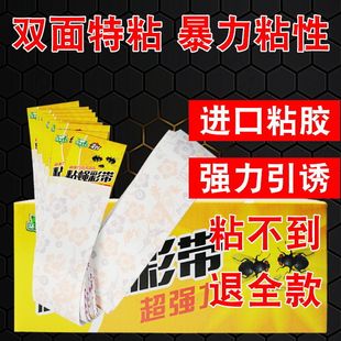 ճω�ʎ��nω�Nճ�nω���ʗl�������T�粶�nω��������ճ�w�x�ʎ�