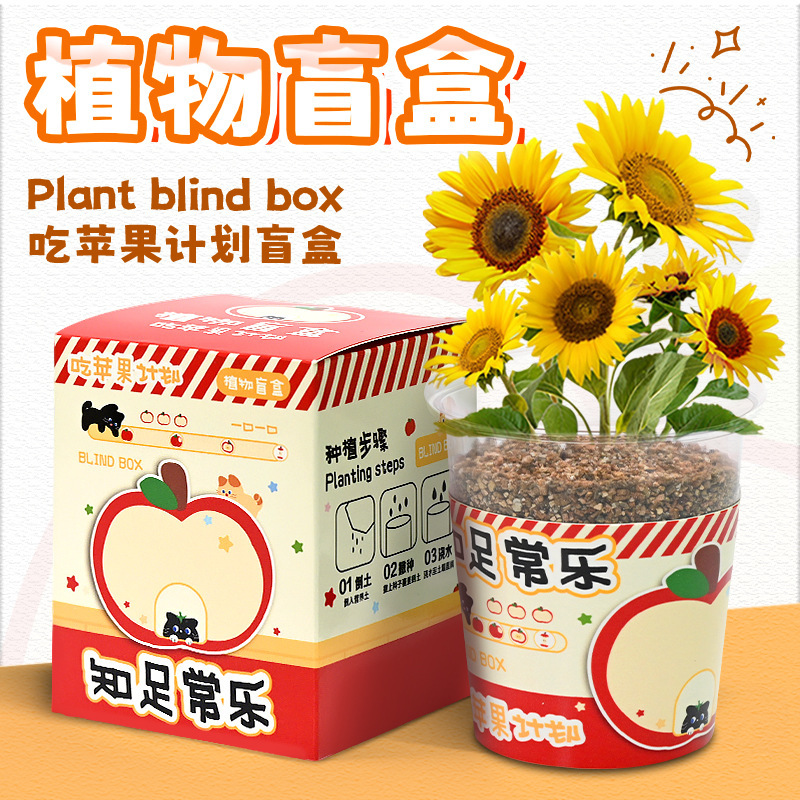 跨境吃苹果计划植物盲盒桌面摆件学生奖励小礼品植物盆栽盲盒盆景