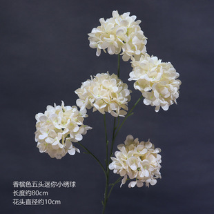 ���滨�㙉ɫ��c���Ļ�Y�û�ˇ����õ����ĵ����Y�廨��ˇ����