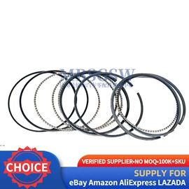 其他发动系统;活塞/活塞环;气缸及部件