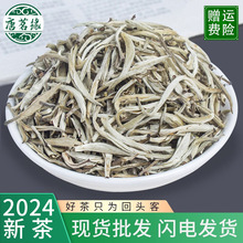 新茶花茶 广西横县茉莉花茶叶 浓香型茉莉针王 茉莉银针 茶叶批发