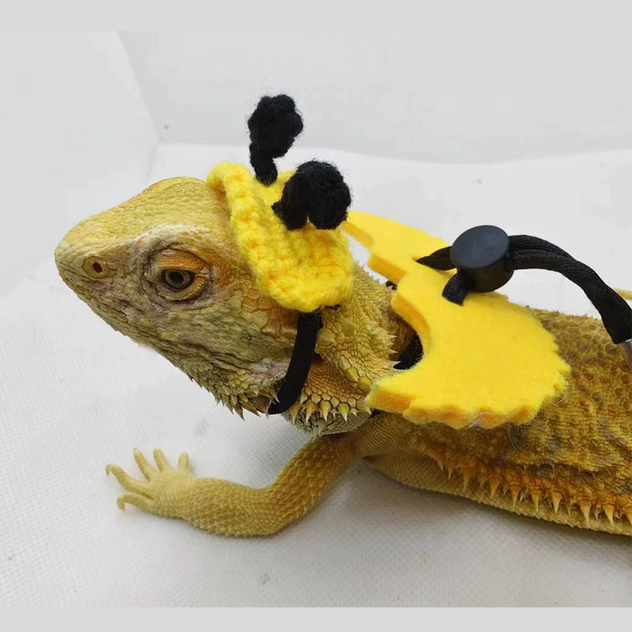 Пчела в форме ящерицы превращаются в ползучие товары для животных