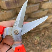 ?�nʽ�@ˇ�����FƤ���F�z���۹��I������������¼�������;