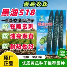 ����518�S�ϷN������������������S�ϷN�ѹϰѶ̾G���ܴ��͟�