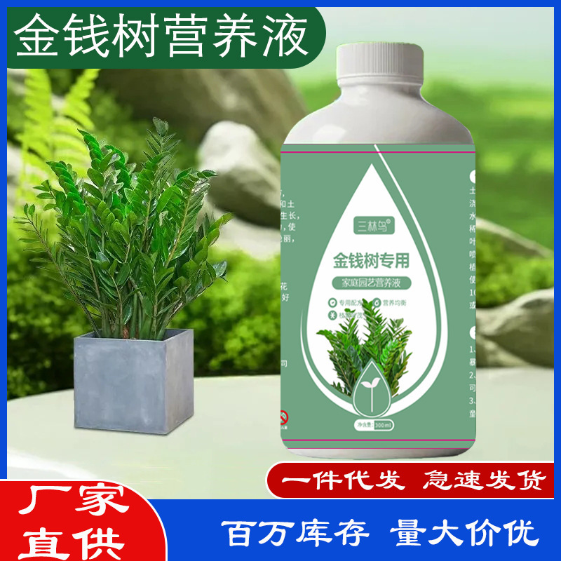 Money Tree Nutrient Solution Fertilizer, Special Fertilizer for Treating Yellowing Leaves, Leaf Loss, and Root Rot, Universal Fertilizer for Indoor Potted Plants and Flowers Money Tree Nutrient Solution Fertilizer, Special Fertilizer for Treating Yellowing Leaves, Leaf Loss, and Root Rot, Universal Fertilizer for Indoor Potted Plants and Flowers