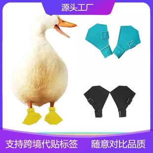 �羳������Ʒ�����ZЬ ������� ����_����ѥ���oЬ
