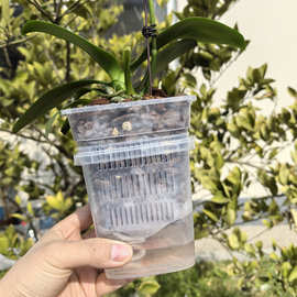 蝴蝶兰套盆透气养根控根半水培免浇水方花盆内外桶搭配套装控根盆