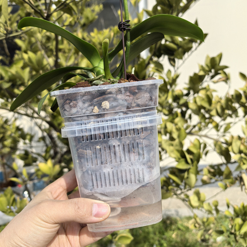Phalaenopsis set pot breathable root control semi-hydroponic non-watering square flowerpot inner and outer barrels with suit root control pot