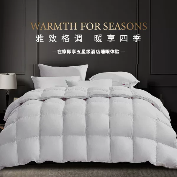 Kangerxin High-End 95% White Goose down Three-Dimensional All-Season Warm Goose down Quilt Core Hotel down Quilt Core Clearance Sale