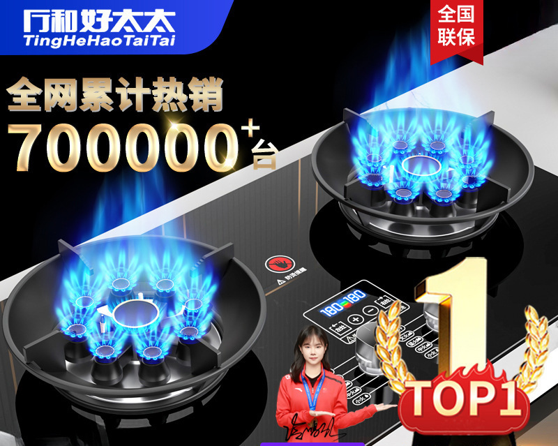 厅和好太太燃气灶煤气灶双灶家用天然气炉灶液化气炉具换新补贴|undefined