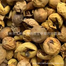 包邮500g颠茄果番鬼茄癫茄果颠茄子野生中草药材无硫新货产地直供
