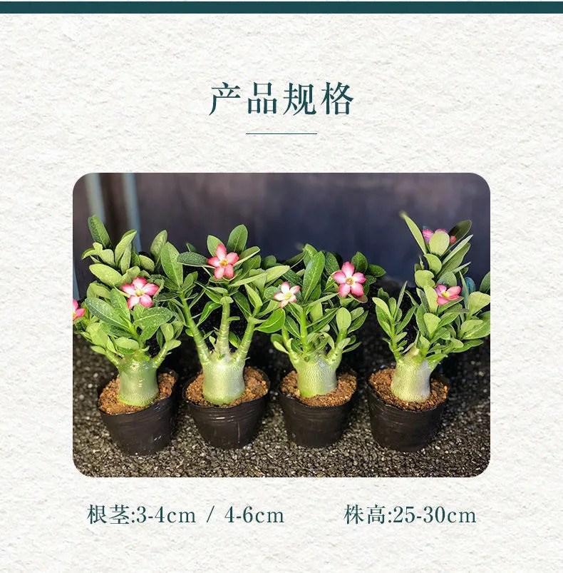 99cabb05-38c8-4d7e-80f8-e2ae4383cd64.jpe