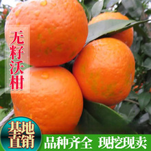 ���Z�o���ָ̘��������091�o���ָ̼޽����Ϸ����Ե��Ԯ���Y��