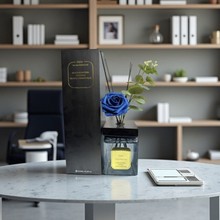 ޹Ҽ҃ȳ־߼Һw͏d̨ͯo