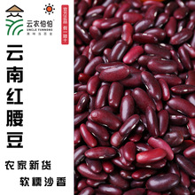 ��؛�t������ϴ�t���r���Ԯa�tܿ�� �������s�Z������˼t��