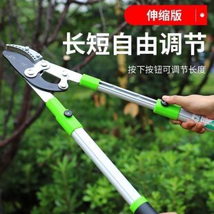 �ޘ�֦������֦���ô�����O���仨�����Ѹ�֦��s�Uʡ�����@��ˇ