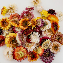 ����߲ʾջ��^�����ոɻ��ֹ�DIY��������b��Sֱ�N���l�滨