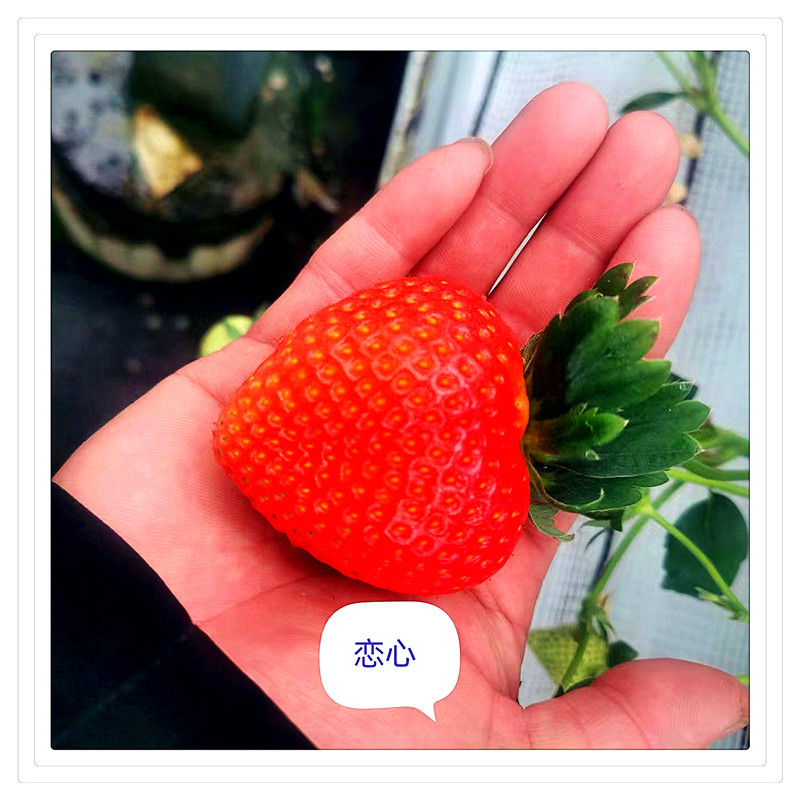 1b3b292f7f081e07958f49965a5204