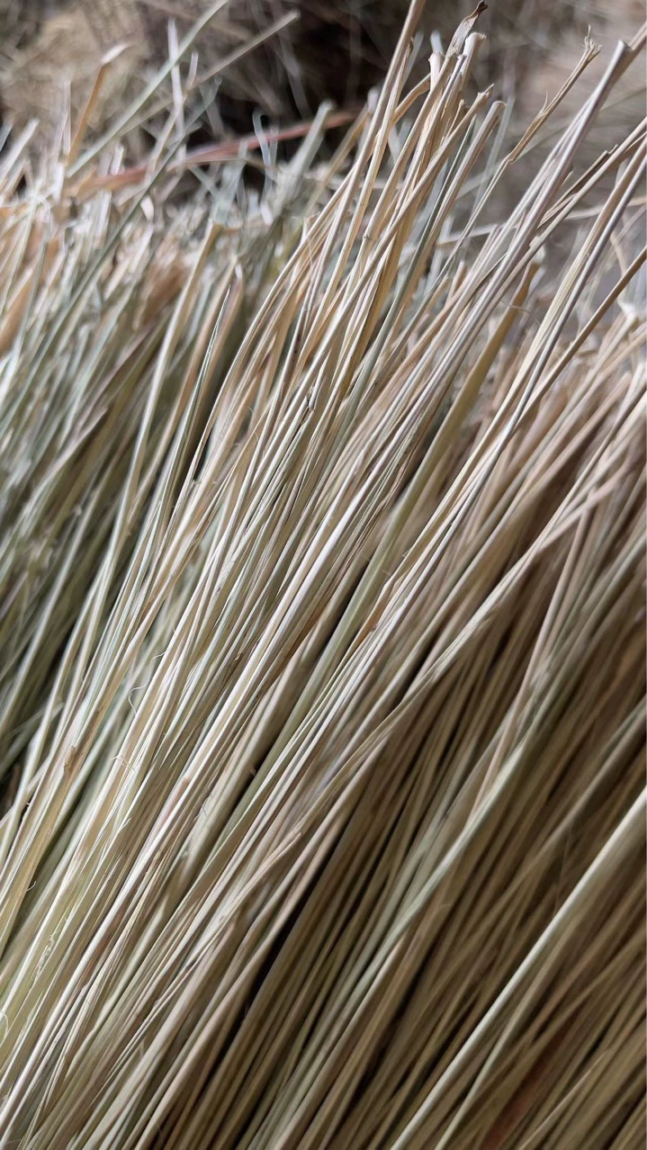 Водяная трава оптом Фестиваль лодок-драконов обернуть Zongzi галстук веревку Волосатый краб травяной галстук мясная линия Ма Лиан Zongzi веревка