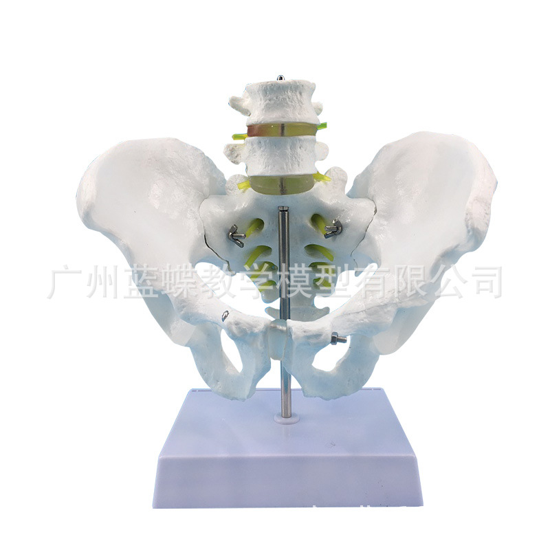 ��Ȼ�����Թ����������׵��ģ�� ���� ��׵β׵ģ�� ��׵ģ��