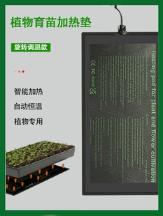 ֲӟ||늟̺҃ȶ⻨؜