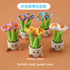 教师节成品手工毛线礼物雪菲线编织水仙表情包盆栽送老师校友校长