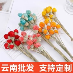 イチゴフルーツ永遠の花アカシアドライフラワー卸売 DIY 花素材家の装飾イチゴフルーツリビングルームの花束卸売
