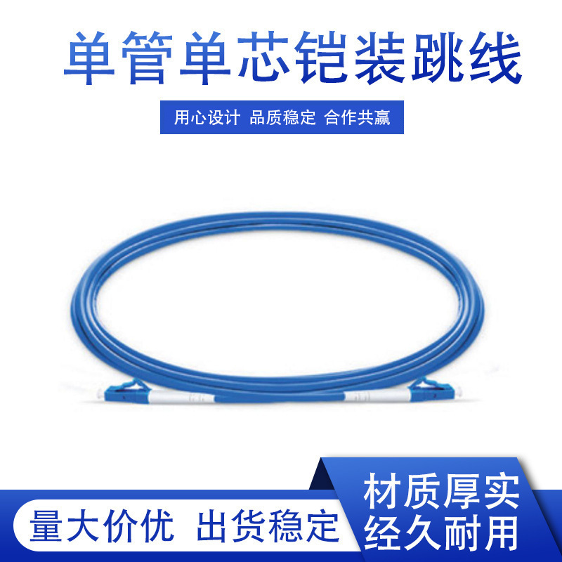 Manufacturer Wholesale Standard Jumper Single-Core 3m Armored Supply of Telecommunications-Grade Fiber Optic Connection Cable Network Optical Cable