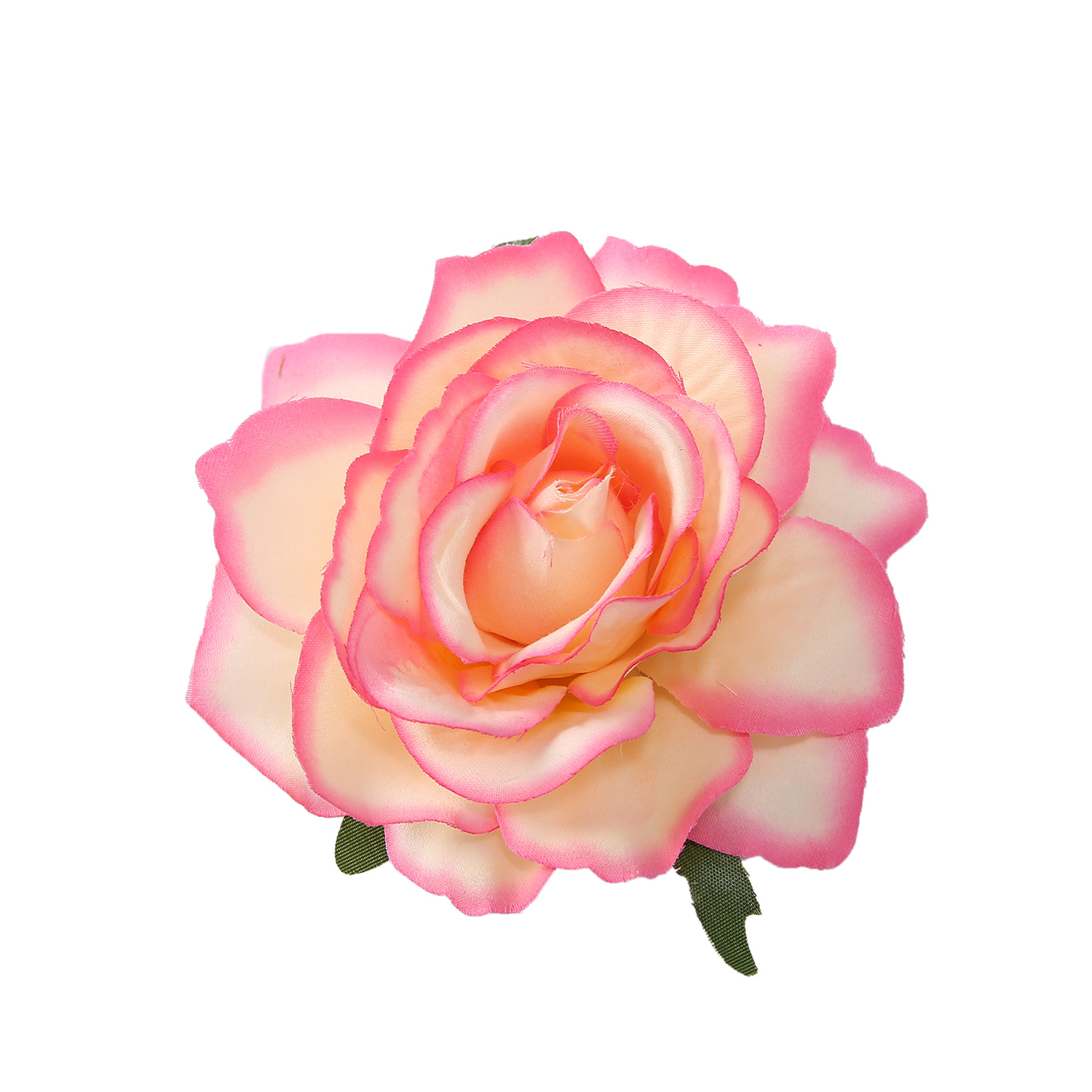 양자 로즈 레드