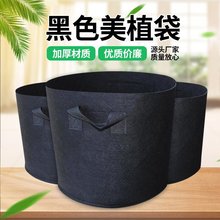 无纺布种植袋蔬菜植物育苗生长袋子美植袋果树苗种植盆花卉种植袋